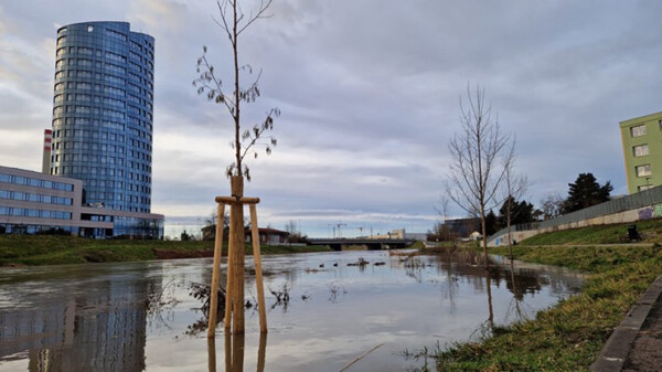 zdroj: město Olomouc