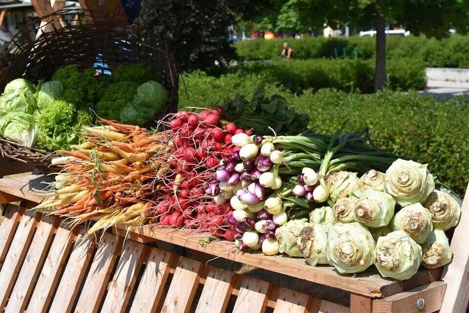 Foto: Galerie Šantovka