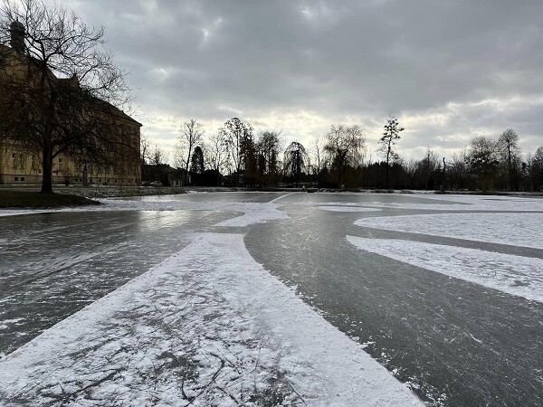 Rybník u Gymnázia Jana Opletala v Litovli, foto: Viktor Kohout