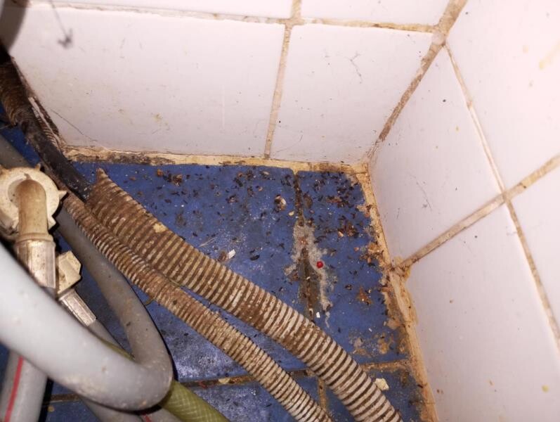 Restaurace U Ječmínka; zdroj: Potraviny na pranýři