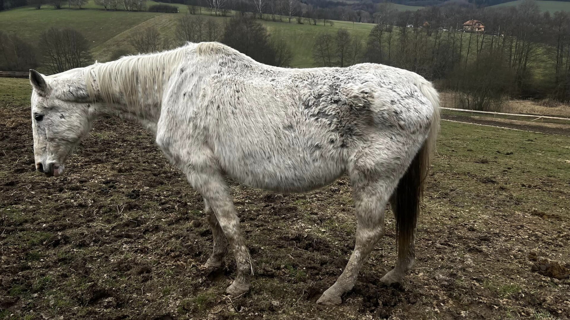 Zdroj: Kristýna Nováková
