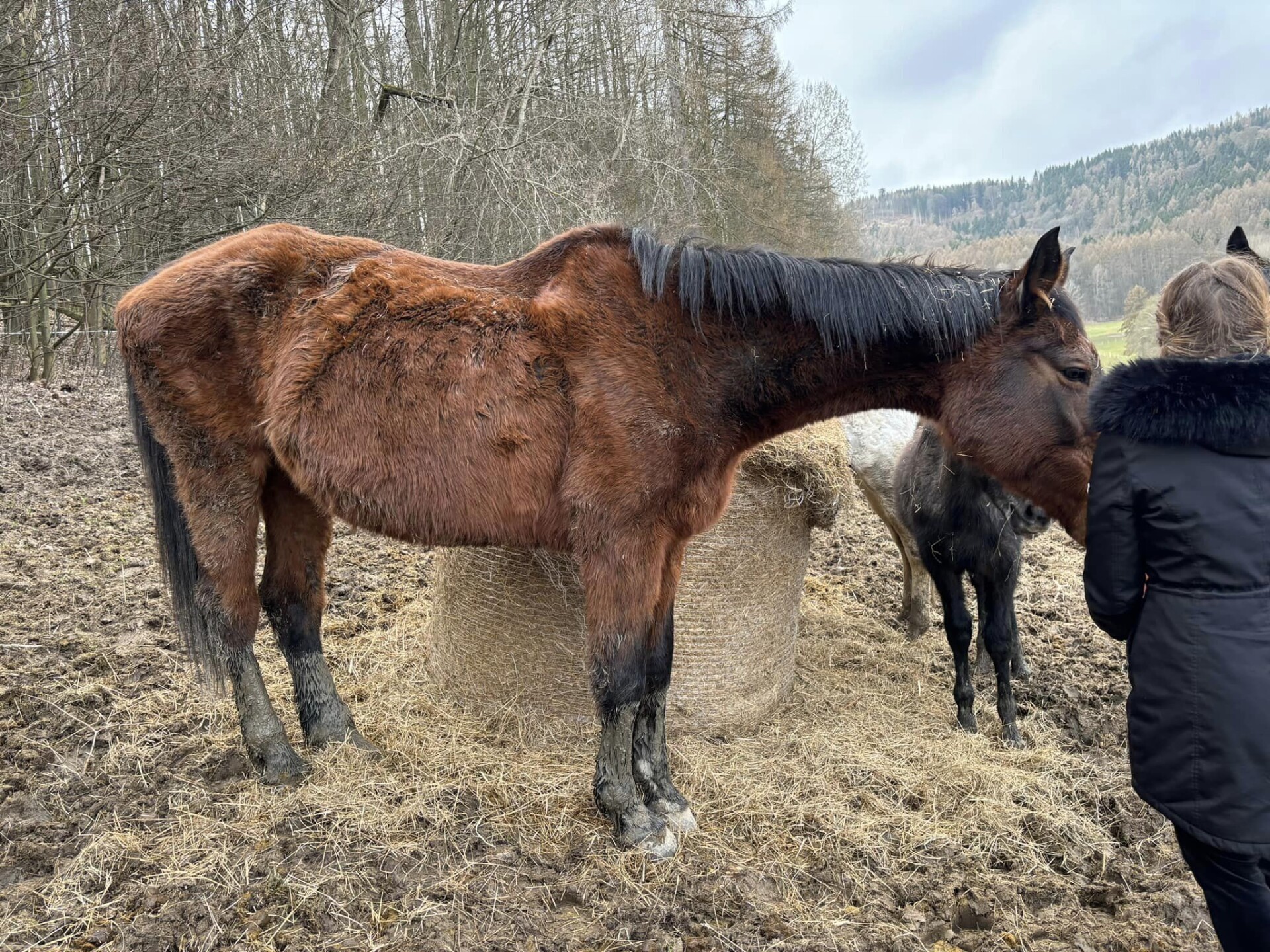 Zdroj: Kristýna Nováková