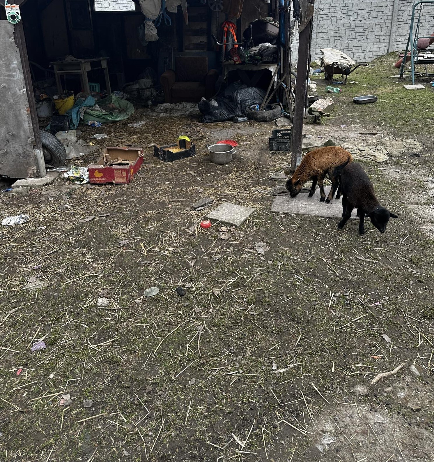 Zdroj: Státní veterinární správa