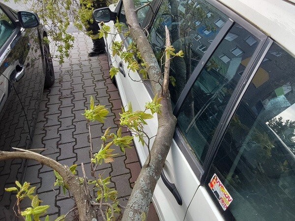 zdroj: HZS OK