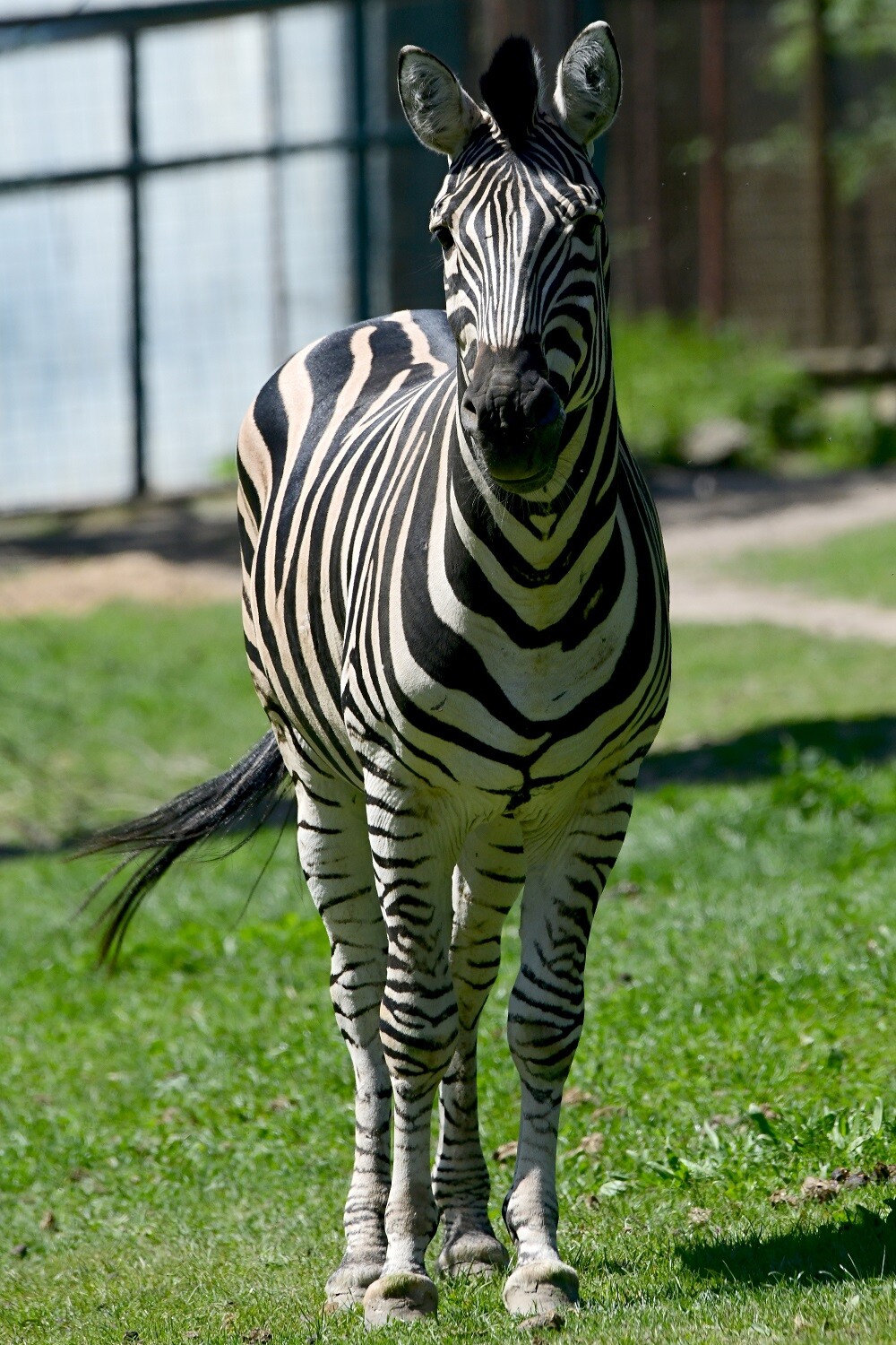 Zdroj: Zoo Olomouc
