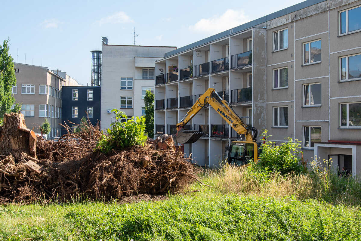 Foto: FN Olomouc 