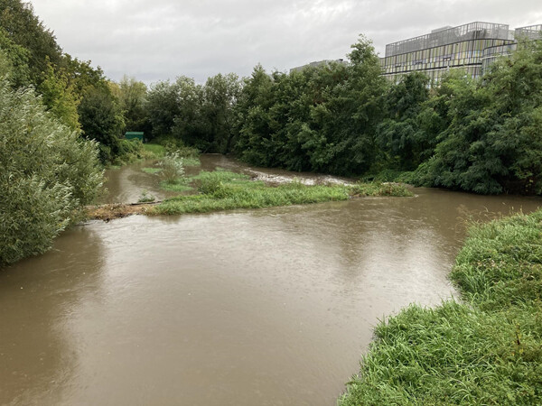 Mlýnský potok u Galerie Šantovka, zdroj: Report