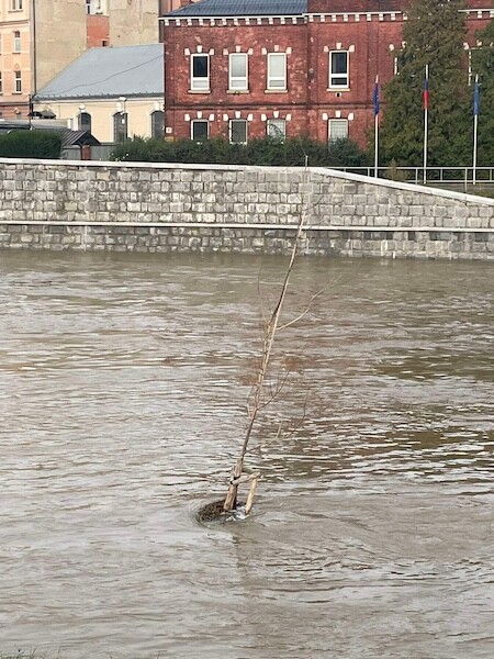 Cyklostezka u náplavky v Olomouci. Zdroj: Report