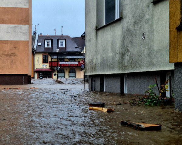 zdroj: Olomoucký Report