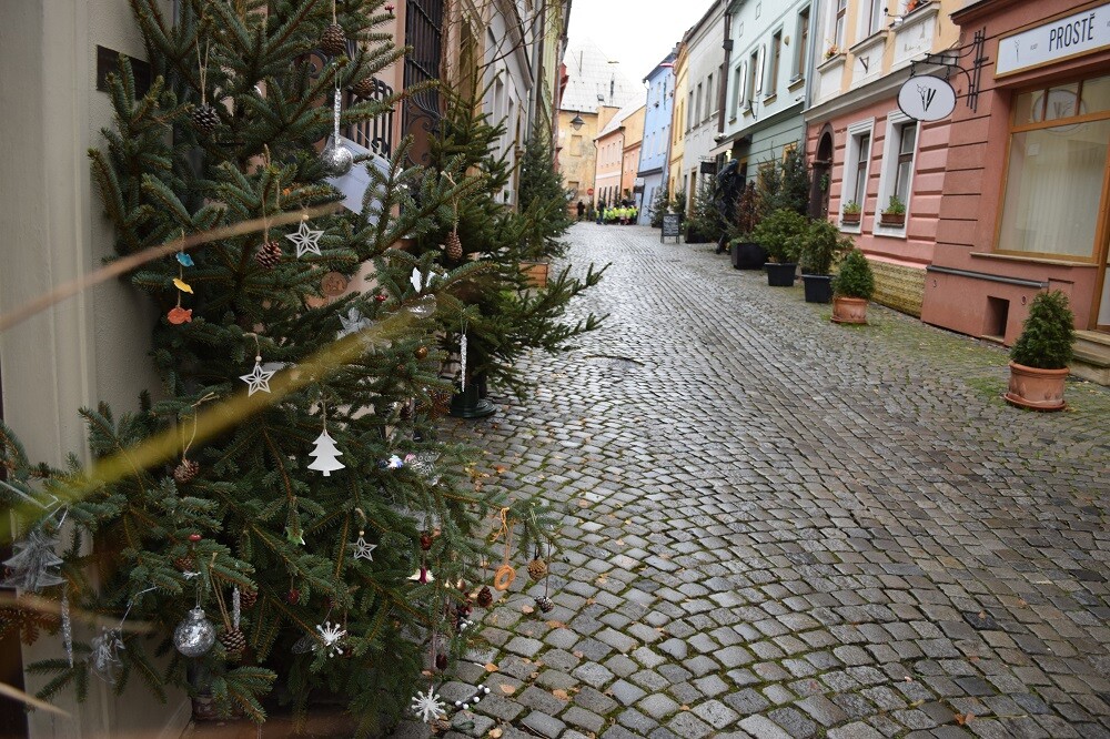 Zdroj: Olomoucký Report