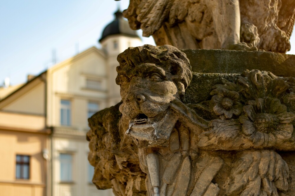 Zdroj: Olomoucký Report