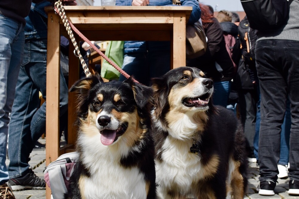 Foto: Olomoucký Report