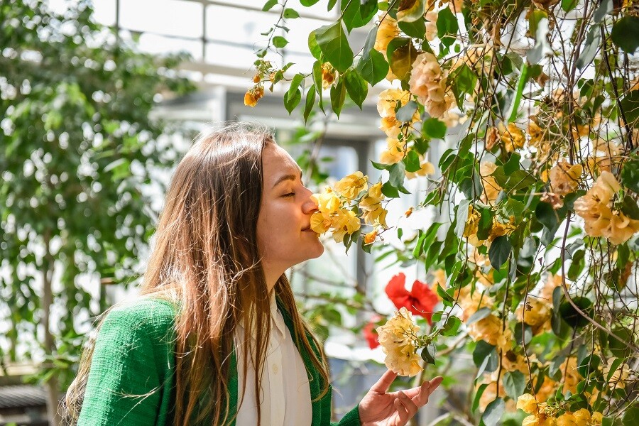 zdroj: Flora Olomouc