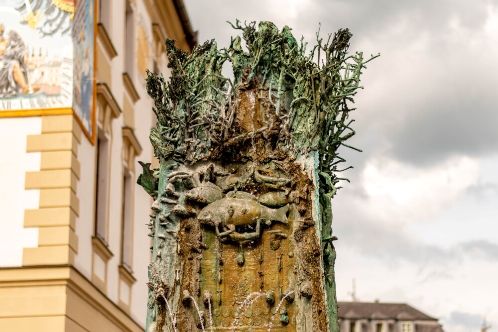Zdroj: Olomoucký Report