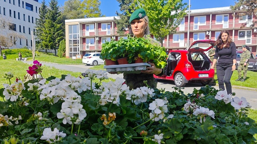 zdroj: Dobrovolnické centrum FNOL