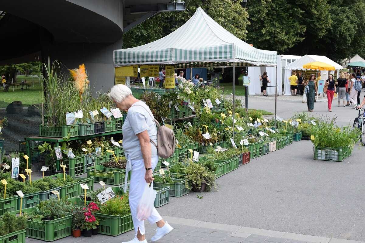 Letní Flora Olomouc