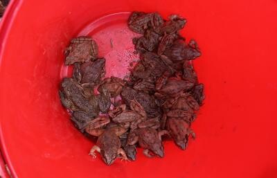 zdroj: město Přerov