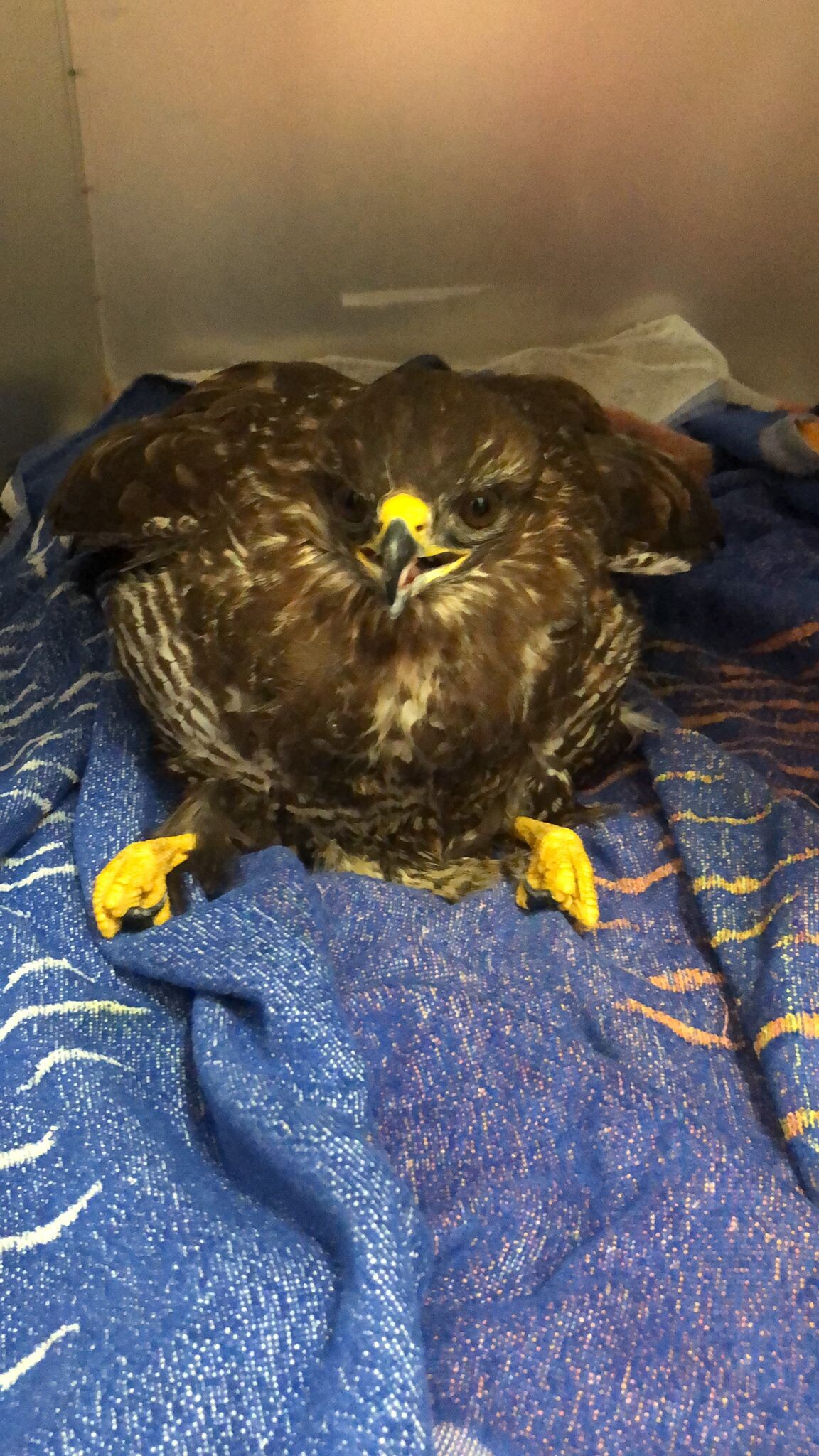 zdroj: Jitka Maixnerová