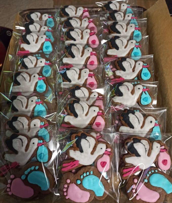 zdroj: Nemocnice AGEL Přerov