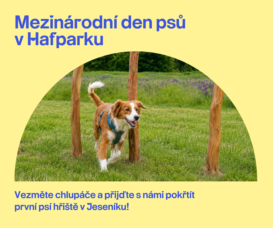 zdroj: město Jeseník