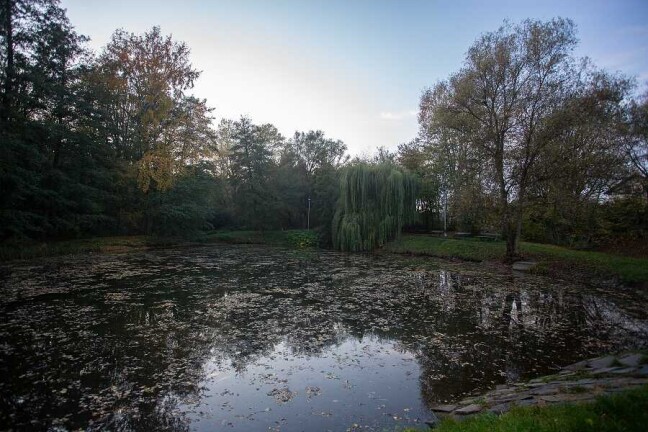 Rybníček Neředín; Foto: T. Hrubá