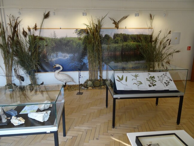 Z výstavy Bohatství vody a ledu foto: Vlastivědné muzeum Jesenicka