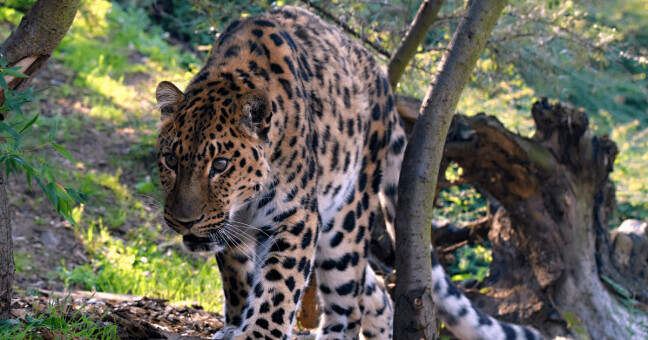 Ilustrační foto: Zoo Olomouc