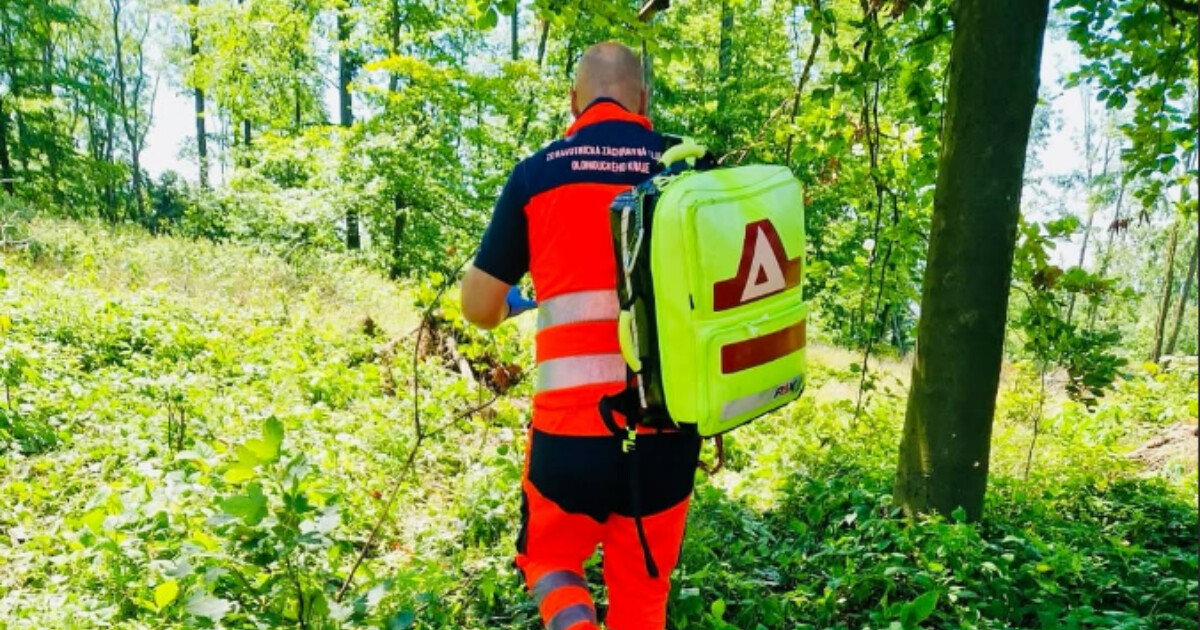 zdroj: ZZS Olomouckého kraje