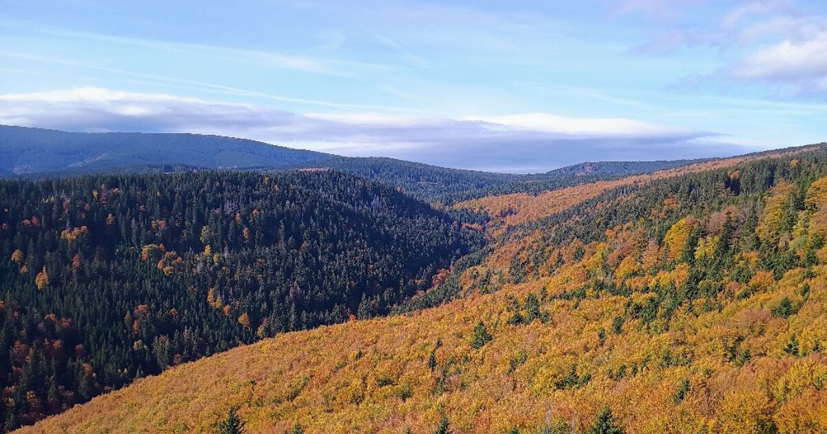 Zdroj: AOPK ČR / Miroslav Havira