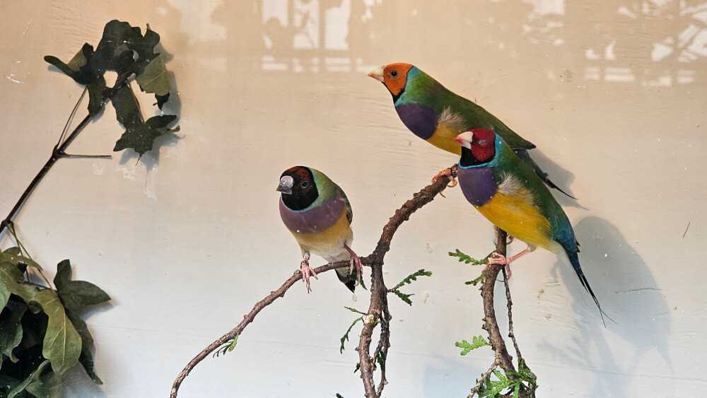 zdroj: Výstaviště Flora Olomouc