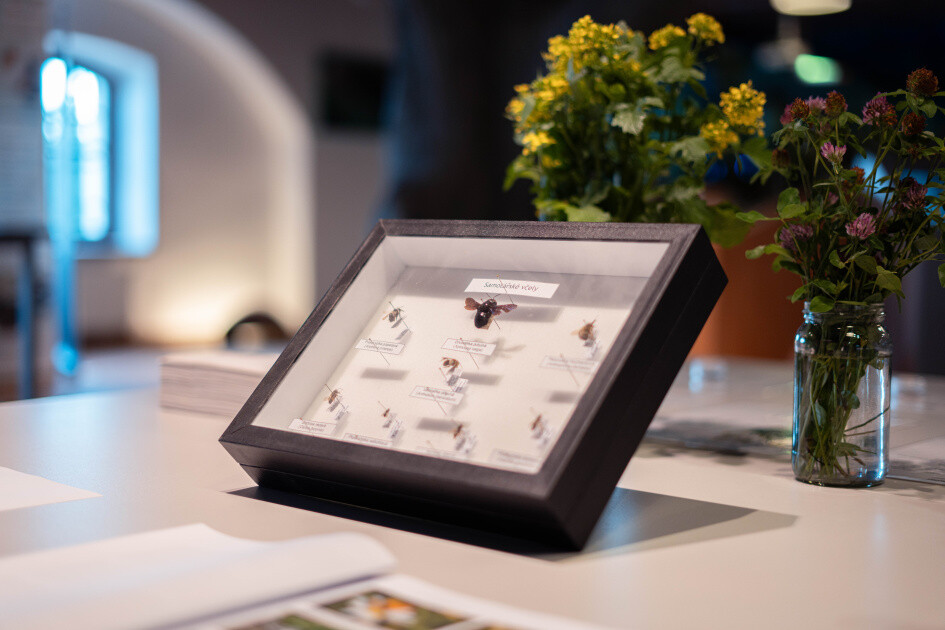 zdroj: Pevnost poznání