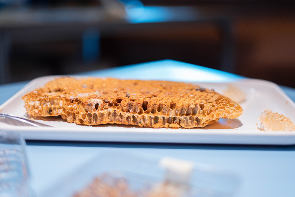 zdroj: Pevnost poznání