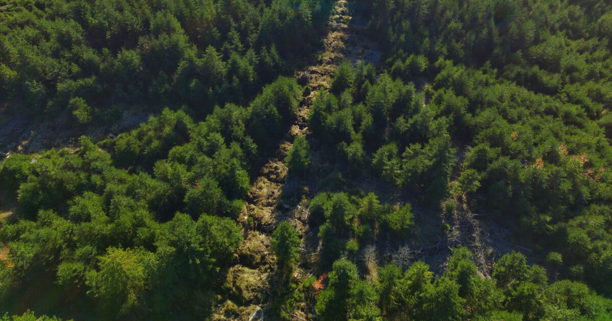 Zdroj: CHKO Jeseníky