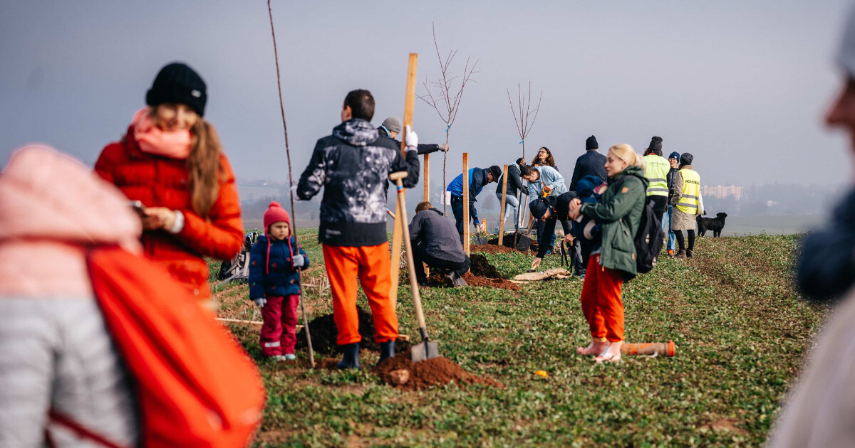 Zdroj: Nadace partnerství