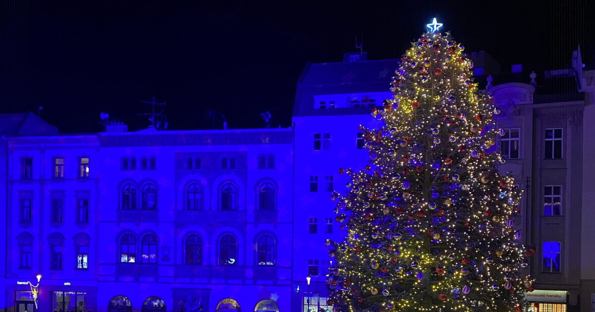 Strom v Litovli a rozsvícený strom v Olomouci na Horním náměstí, zdroj: město Litovel/Report.cz