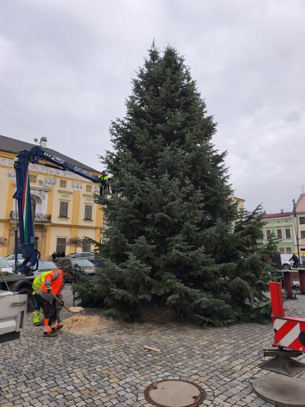 Strom v Litovli a rozsvícený strom v Olomouci na Horním náměstí, zdroj: město Litovel/Report.cz
