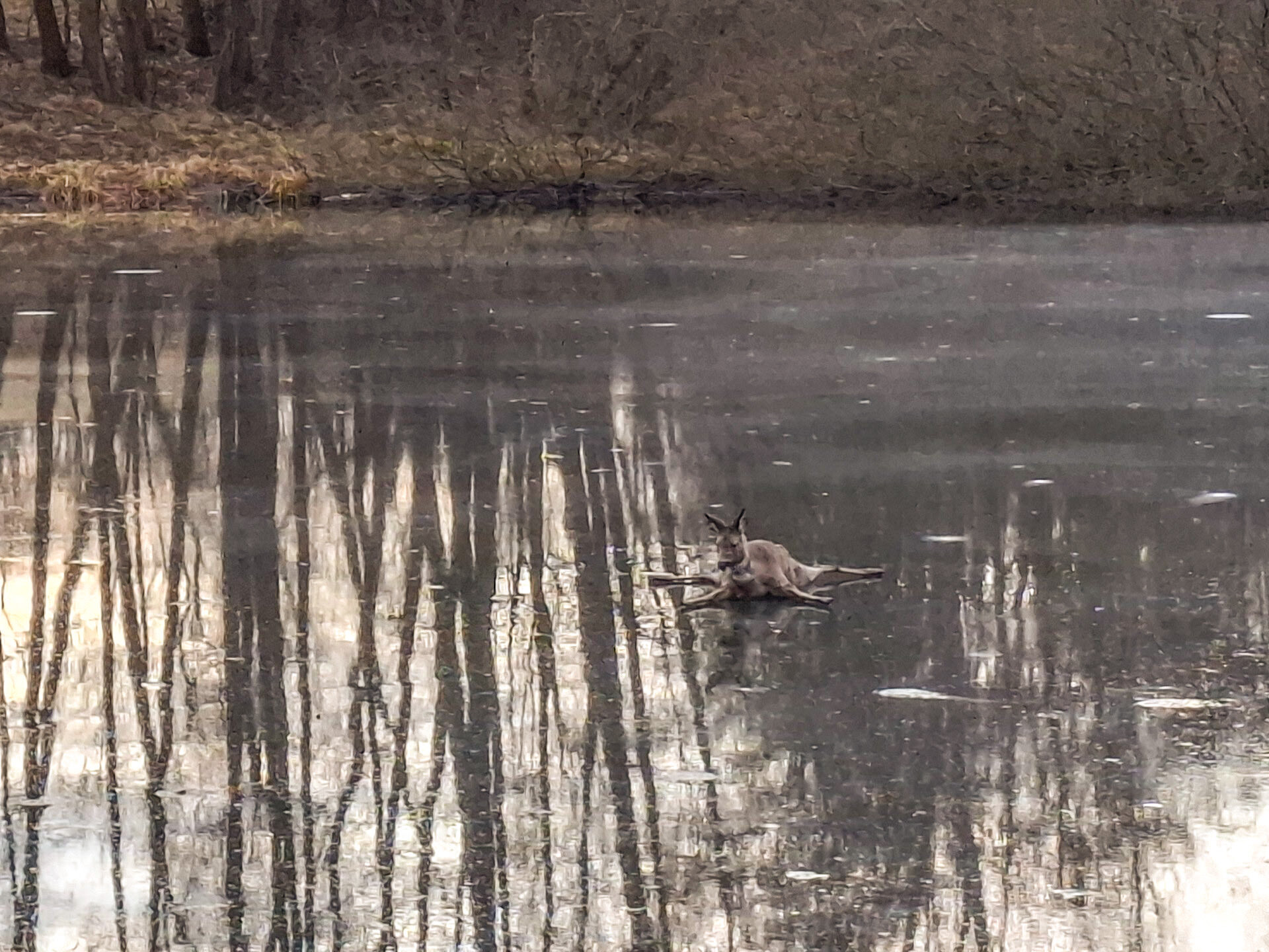 Zdroj: HZS Olomouckého kraje