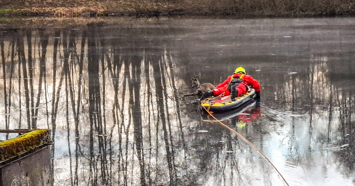 Zdroj: HZS Olomouckého kraje