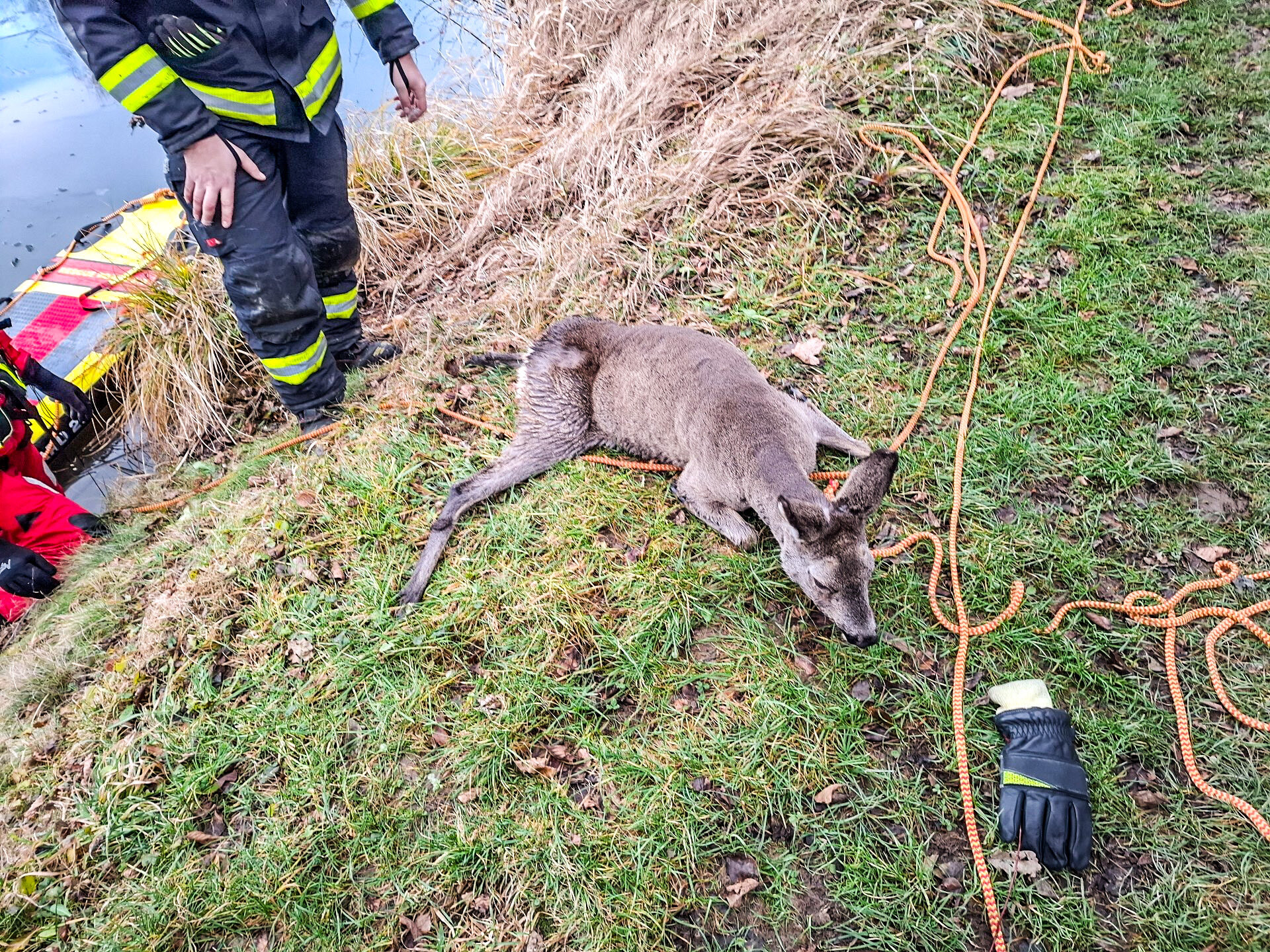 Zdroj: HZS Olomouckého kraje
