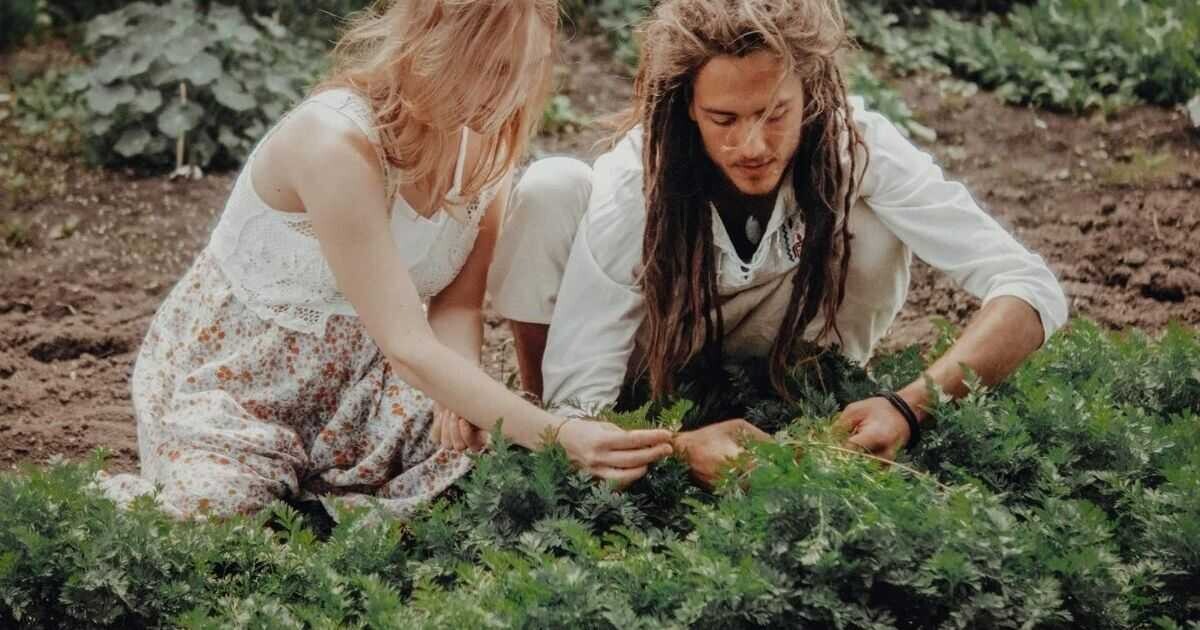  Hanácký folklorní spolek, www.hanfos.cz