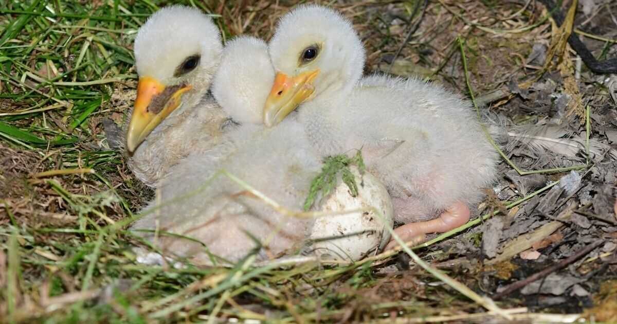 Foto: Zoo Olomouc