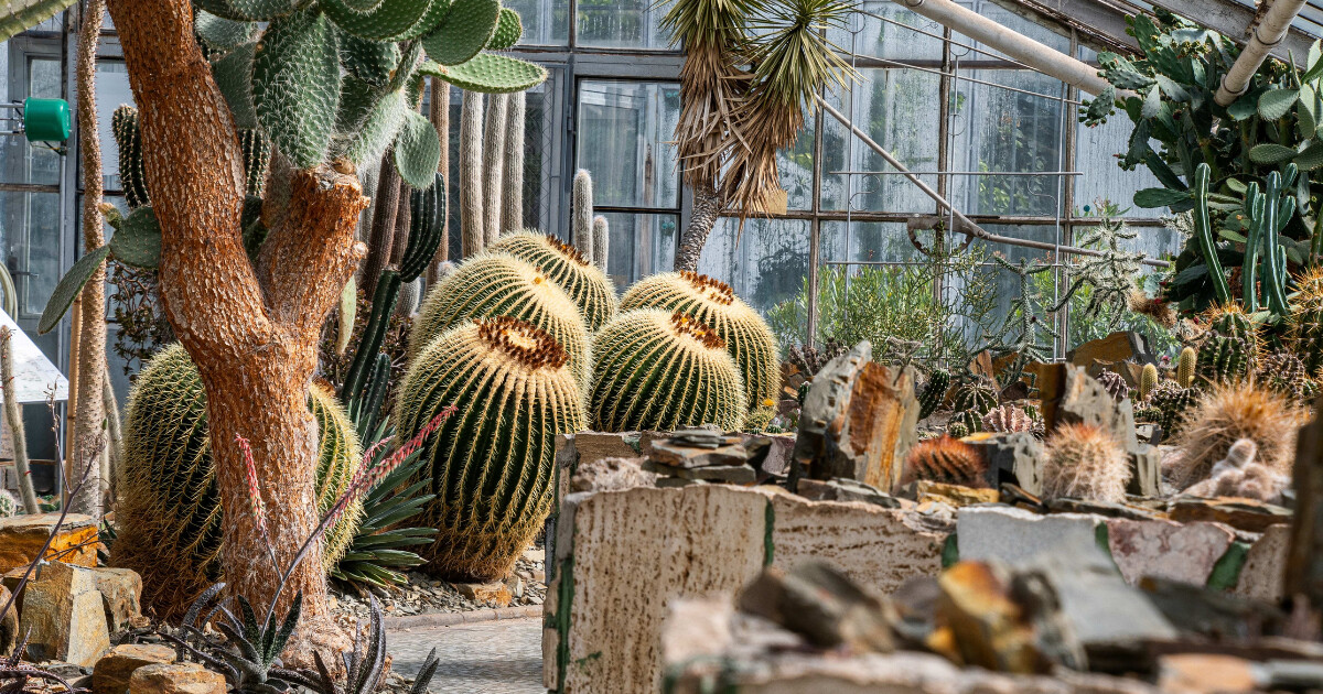 zdroj: Výstaviště Flora