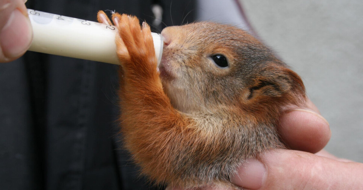 zdroj: Olomoucký kraj