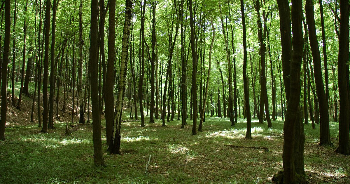 zdroj: Olomoucký kraj