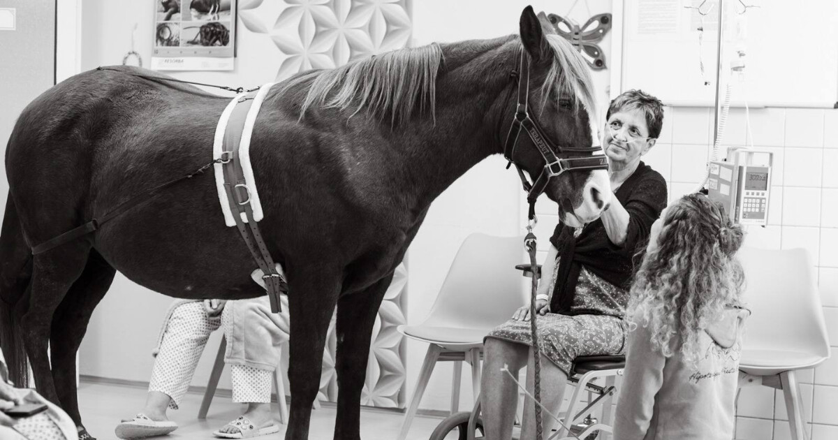 zdroj: Fakultní nemocnice Olomouc