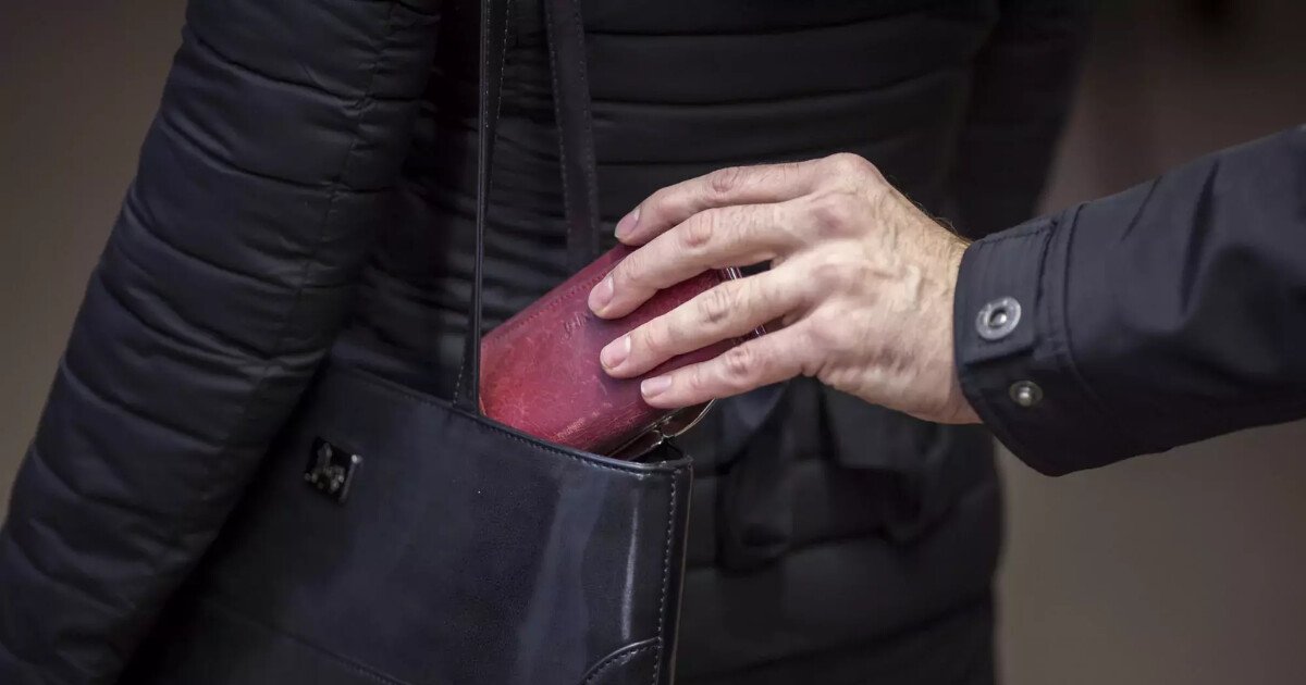 zdroj: Městská policie Olomouc