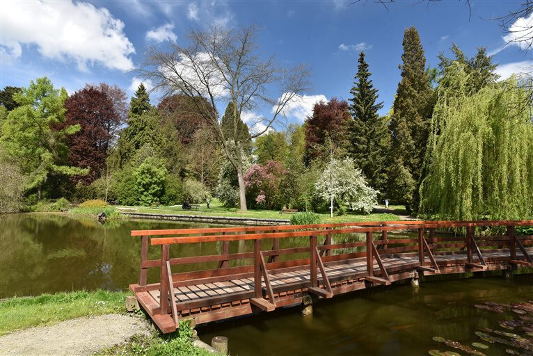 Foto: Vlastivědné muzeum v Olomouci