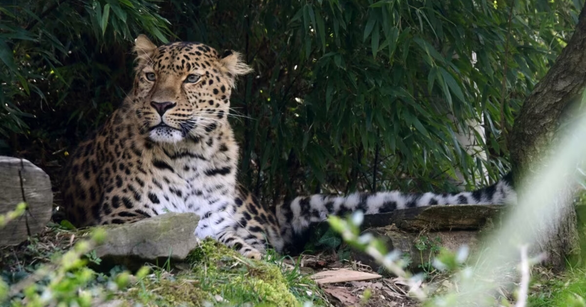 zdroj: město Olomouc