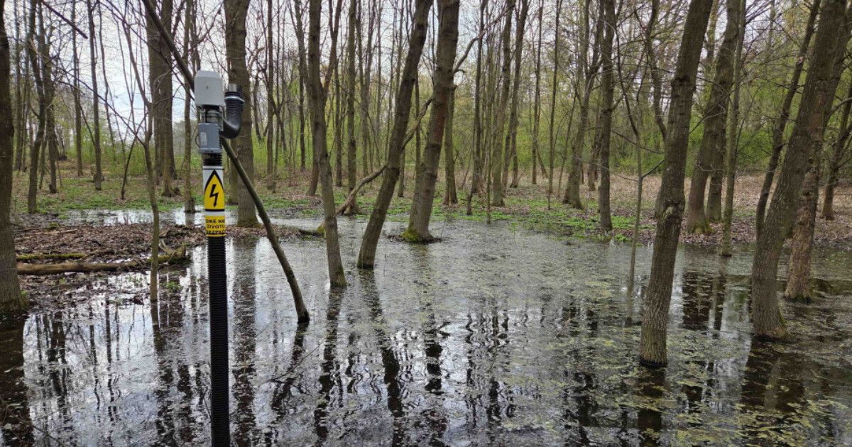 zdroj: město Olomouc