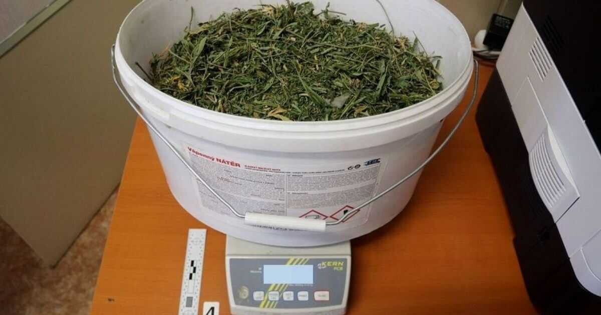 foto Police ČR
